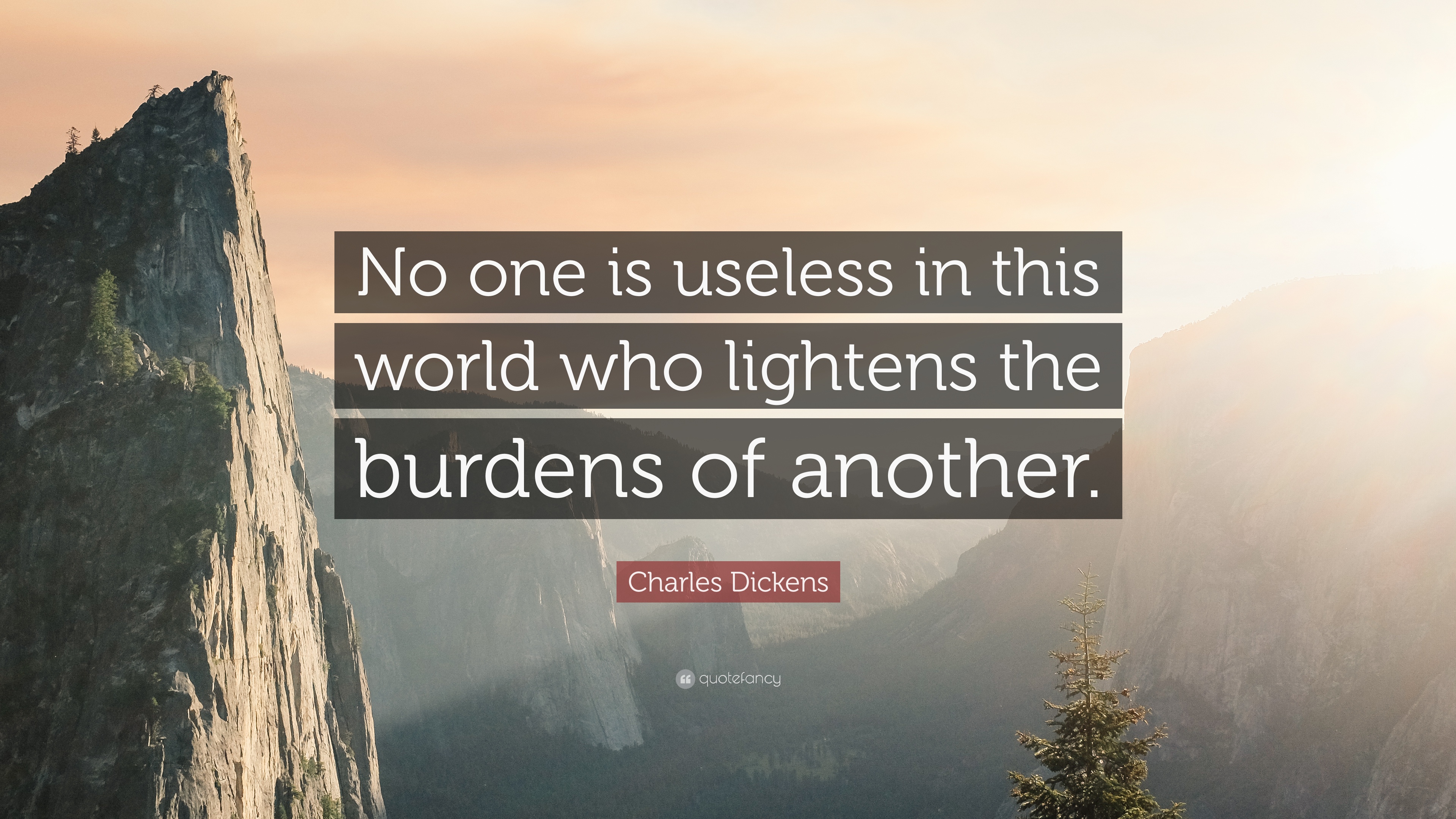 16696-charles-dickens-quote-no-one-is-useless-in-this-world-who-lightens